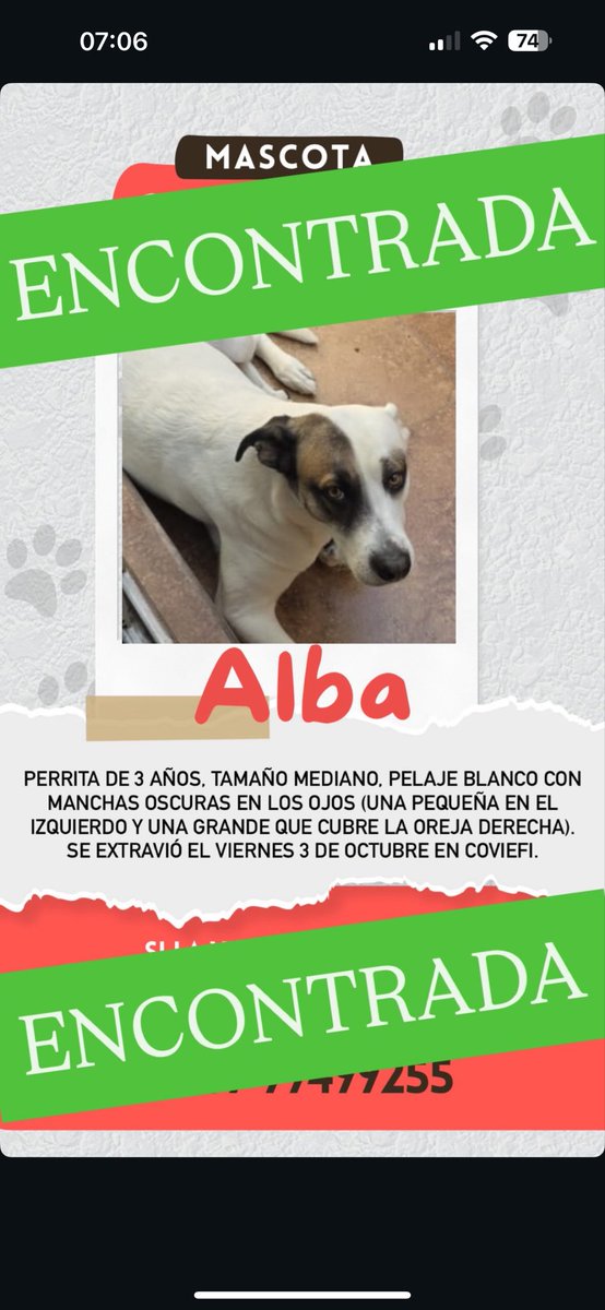 Ayna_Afta's tweet photo. Muchas gracias a todos quienes ayudaron a compartir la información 💜🙌🏼 Albita ya está en su hogar #Antofagasta https://t.co/4buNgXan0U