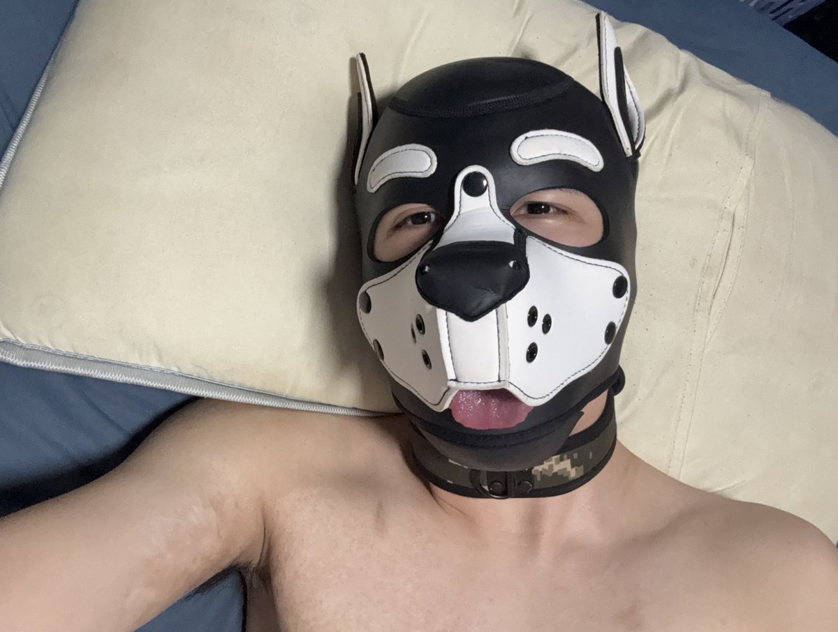 前段時間無意間掀開小時候的創傷，大概半個多月都卡在憂鬱的情緒裡，所以消失一段時間。

這幾天有比較好了，但還是要好好面對他。