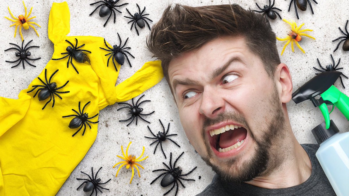 Kavindu341's tweet photo. One of my favorite IRL niche thumbnail designe what do you guys think about this IRL niche thumbnail designe? https://t.co/vPpCiP3HCu