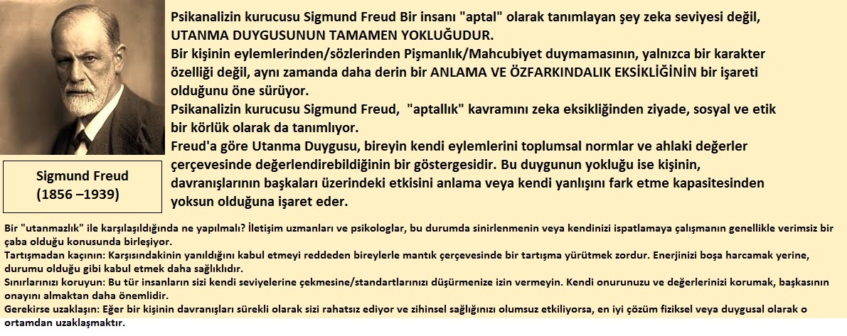 YALCIN MECIT tweet media