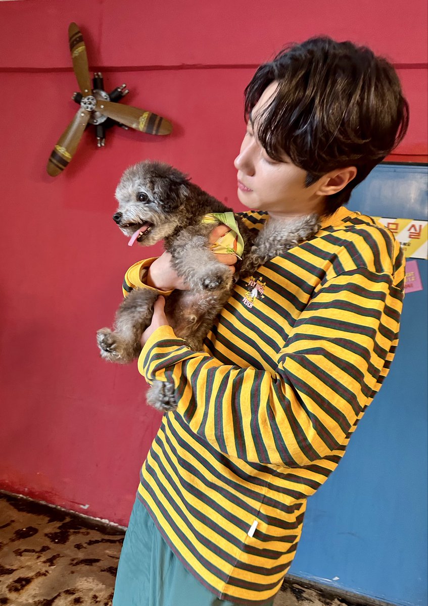 조강지처라는 말이 있습니다. 지게미와 쌀겨를 나눠 먹으며 어려운 시절을 견뎌 온 관계를 말합니다.어제 팬 분들이 만들어 주신 참으로 값진 인기상 수상을 보니 격세지감을 느낍니다. 모든게 여러분의 응원덕입니다. 초심을 잃지 않는 준영이가 되기를 간절히 소망합니다. 여러분! 메리 추석입니다^^