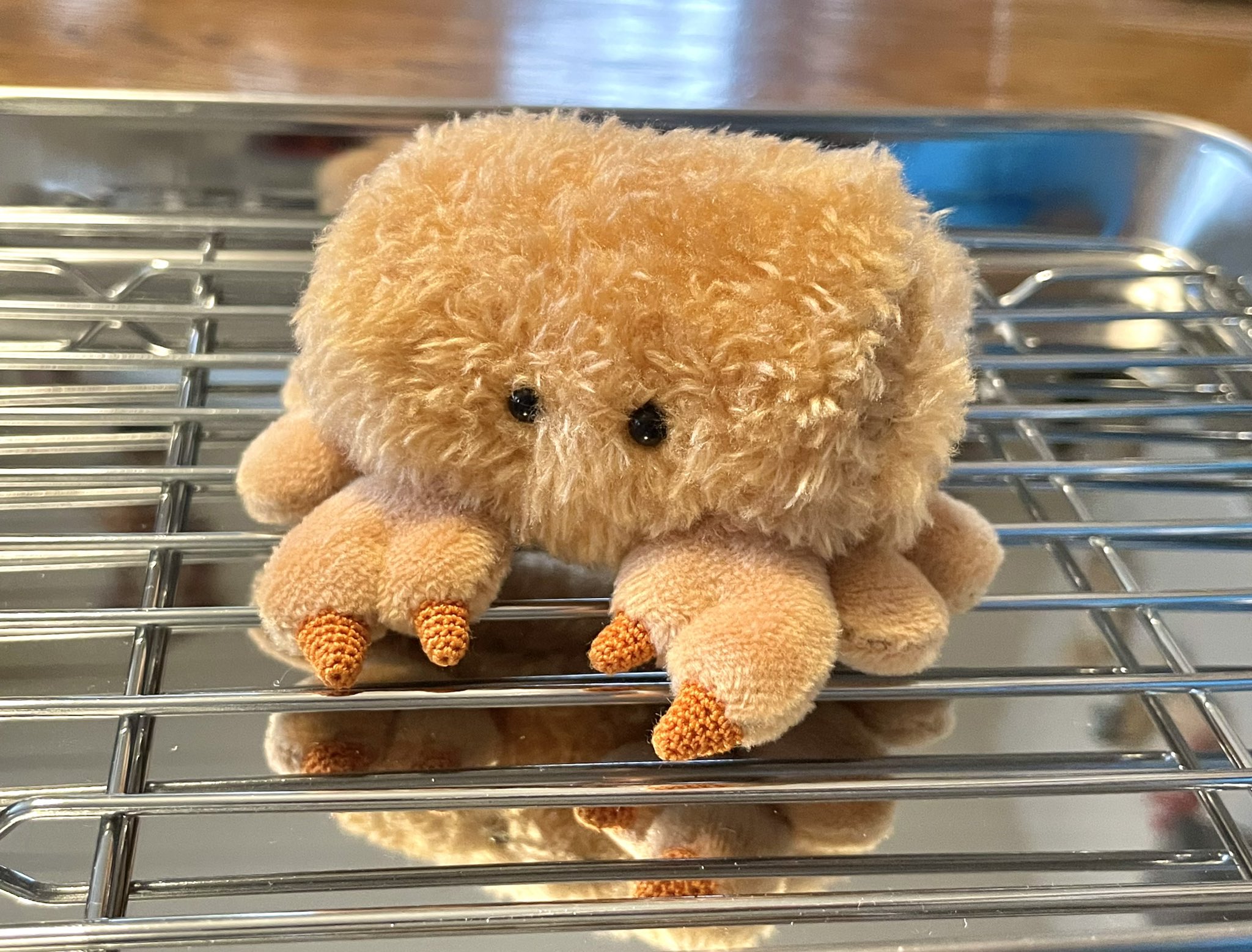 ルナマヒナ様オーダー品　あみぐるみドール２体 ルナマヒナ様オーダー品 あみぐるみドール2体 backend