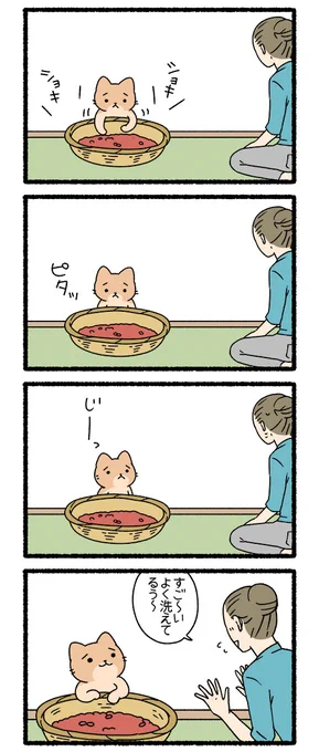 ねこようかい あずきあらい その4 