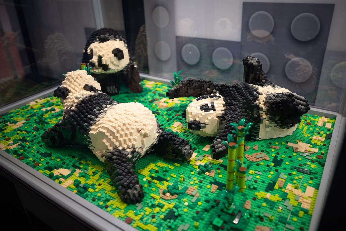 ChinaDaily's tweet image. A #Lego exhibition opened at the National Stadium in Warsaw, Poland on Friday. #TrendingNow