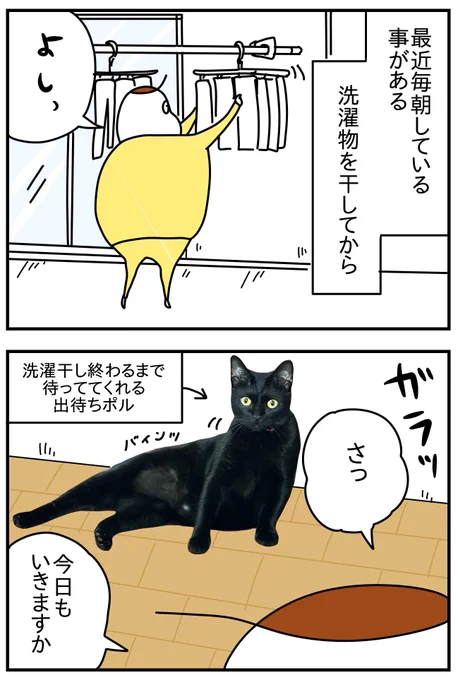 猫スクワット 