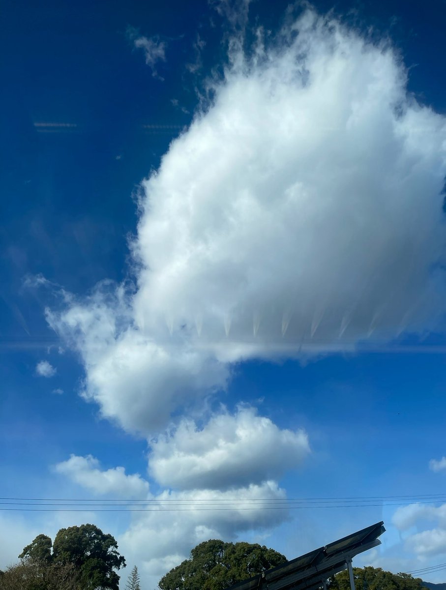 あらゆる事象が、新しいステージへと導かれ、開かれている。
日本初の女性首相の誕生と共に、既に機能しなくなった、これまでの古いルールが破壊され、それぞれの人の胸の内に、新たなる希望の火が灯された。
皆が志高らかにら前を向いて歩み始めるとき。