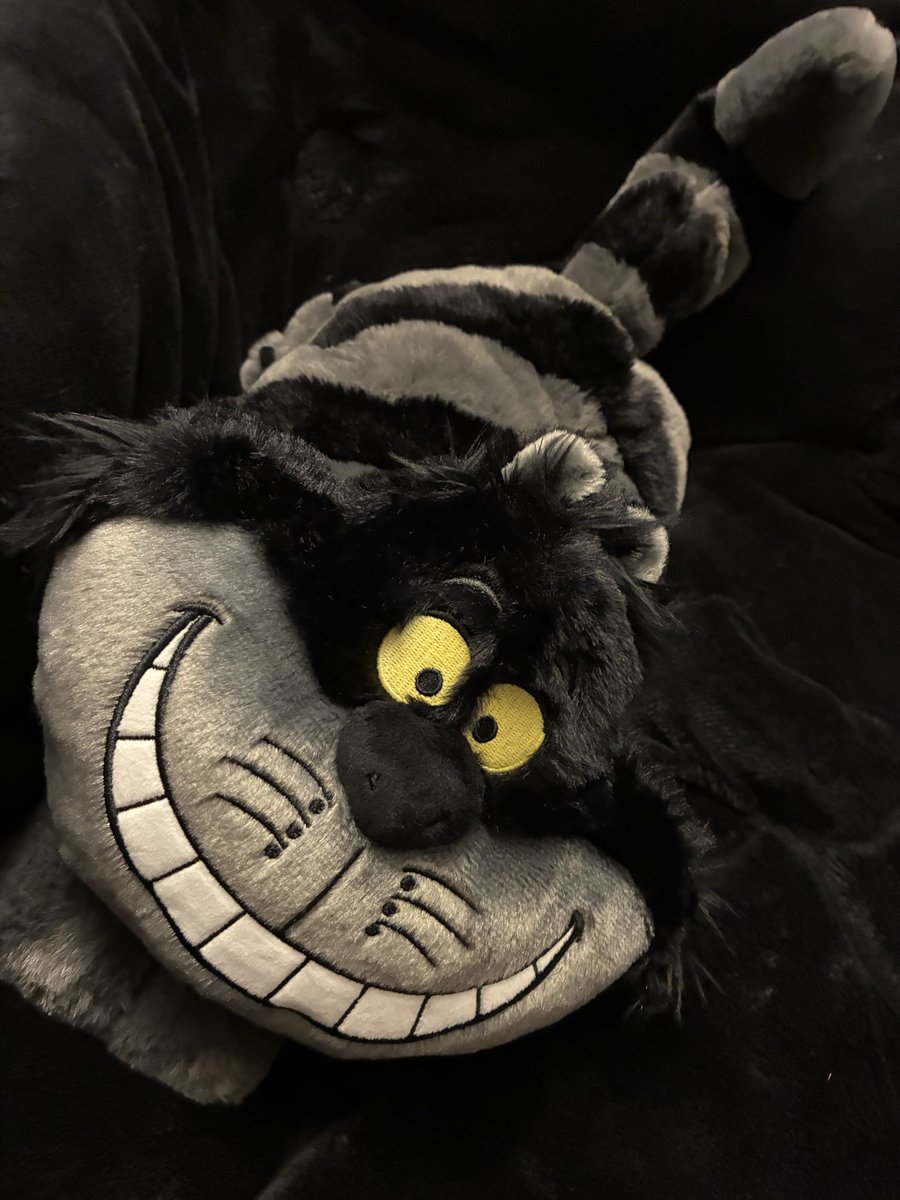 何でもない日にサプライズプレゼントもらった( ΦωΦ ) チェシャ猫の