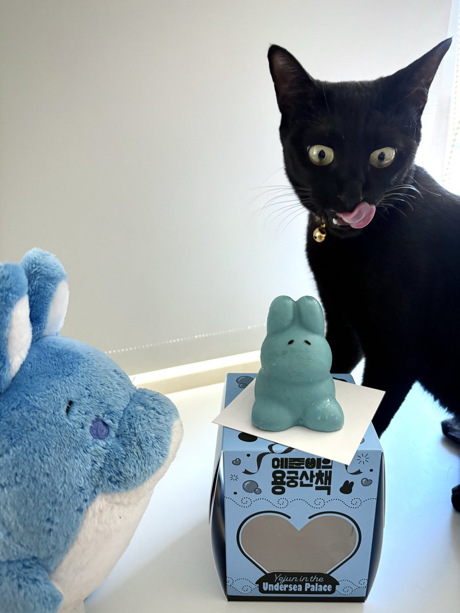 oshower's tweet photo. 🥺🐇🐈‍⬛
（貓沒有吃到！） https://t.co/hDV1xmL8dc