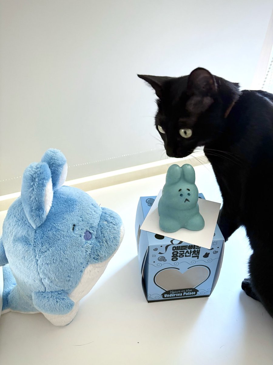 oshower's tweet photo. 🥺🐇🐈‍⬛
（貓沒有吃到！） https://t.co/hDV1xmL8dc