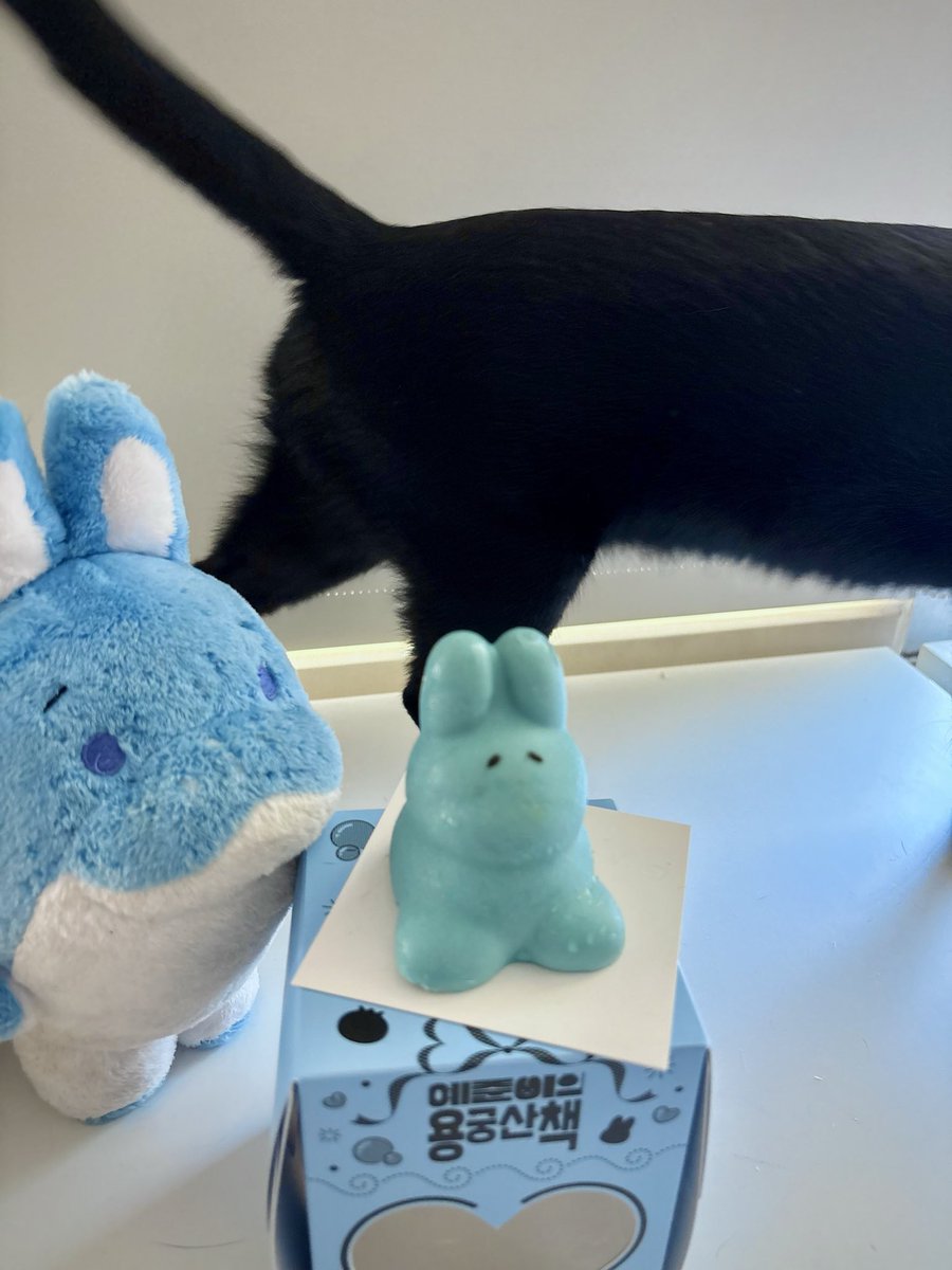 oshower's tweet photo. 🥺🐇🐈‍⬛
（貓沒有吃到！） https://t.co/hDV1xmL8dc