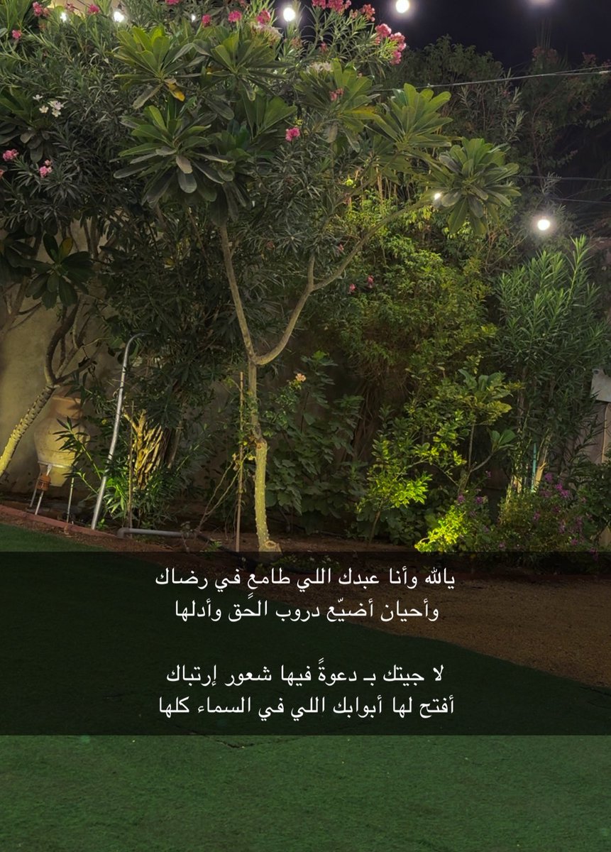 _ilexo's tweet photo. https://t.co/MXg5xGWy1N
