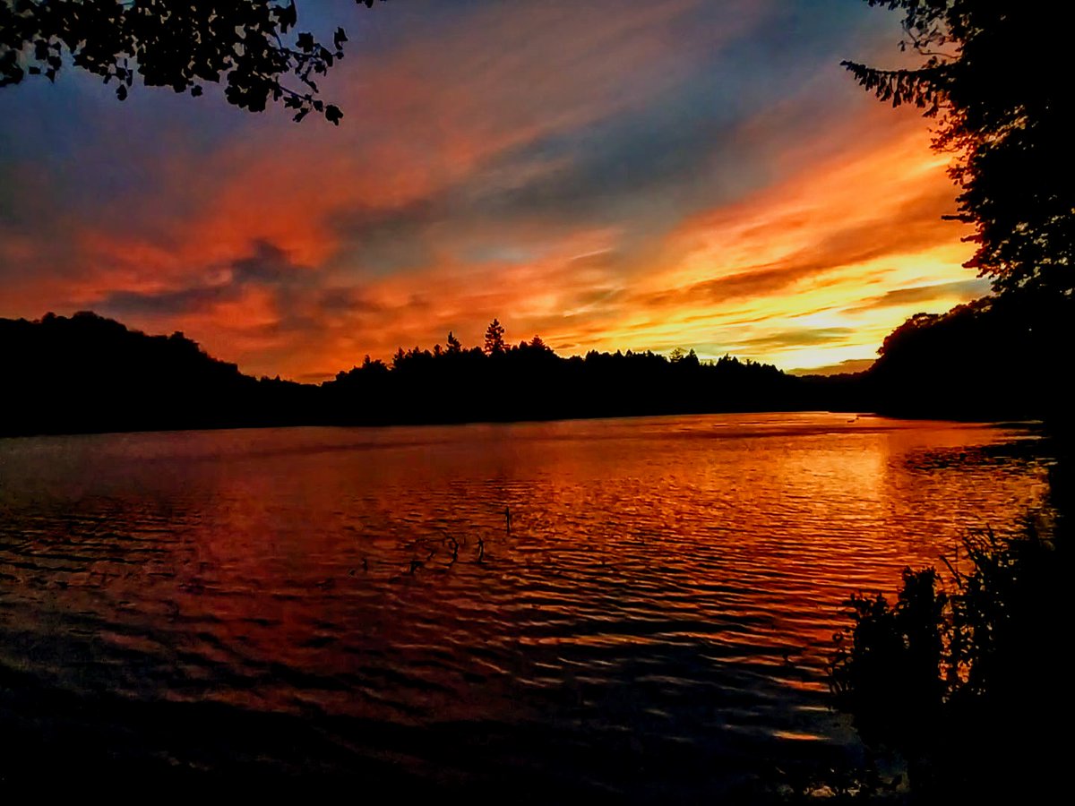 TazTheHeadChef's tweet image. The kind of sunset that makes you forget everything else. 🌅🔥
#NatureVibes #SunsetPhotography #Wilderness #PeacefulMoments