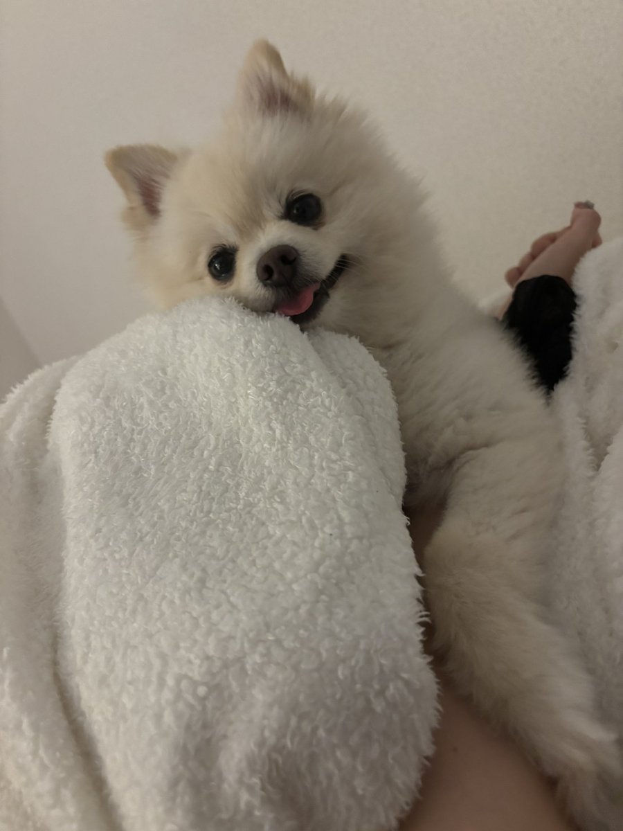 インスタ載せたにゃちぇっくだにゃ