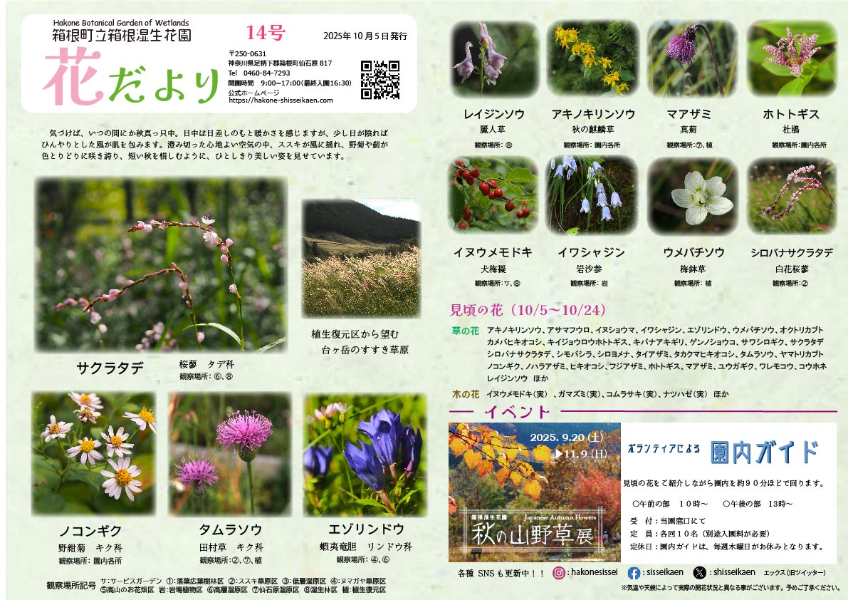 箱根湿生花園 on X: 