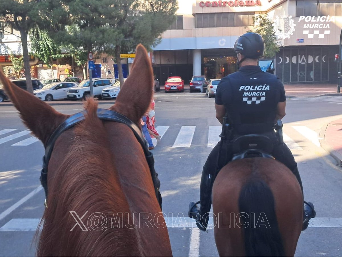 MurciaPolicia's tweet photo. Esta mañana, nuestra Unidad de Caballería lleva a cabo tareas de vigilancia en la feria del libro y en las zona de #Centrofama, centradas en el control de aparcacoches y la prevención de actos de inseguridad ciudadana. https://t.co/mCTyxlDK5P