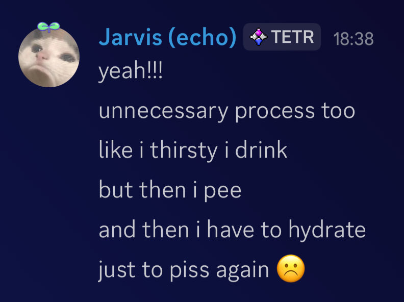 ECHO 🪐 tweet media