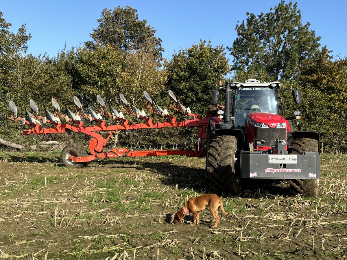 Will Kealey tweet media