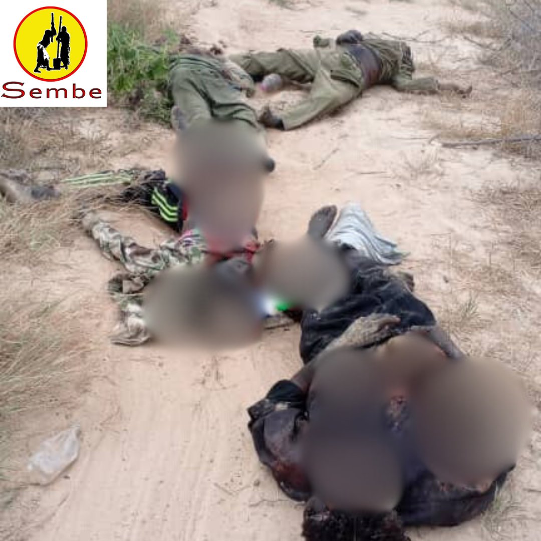 #BREAKING: At least 05 #BokoHaram elements killed by the #military in the outskirts of #Bia early this morning - 5/10/25.
#Cameroon
#MayoSava