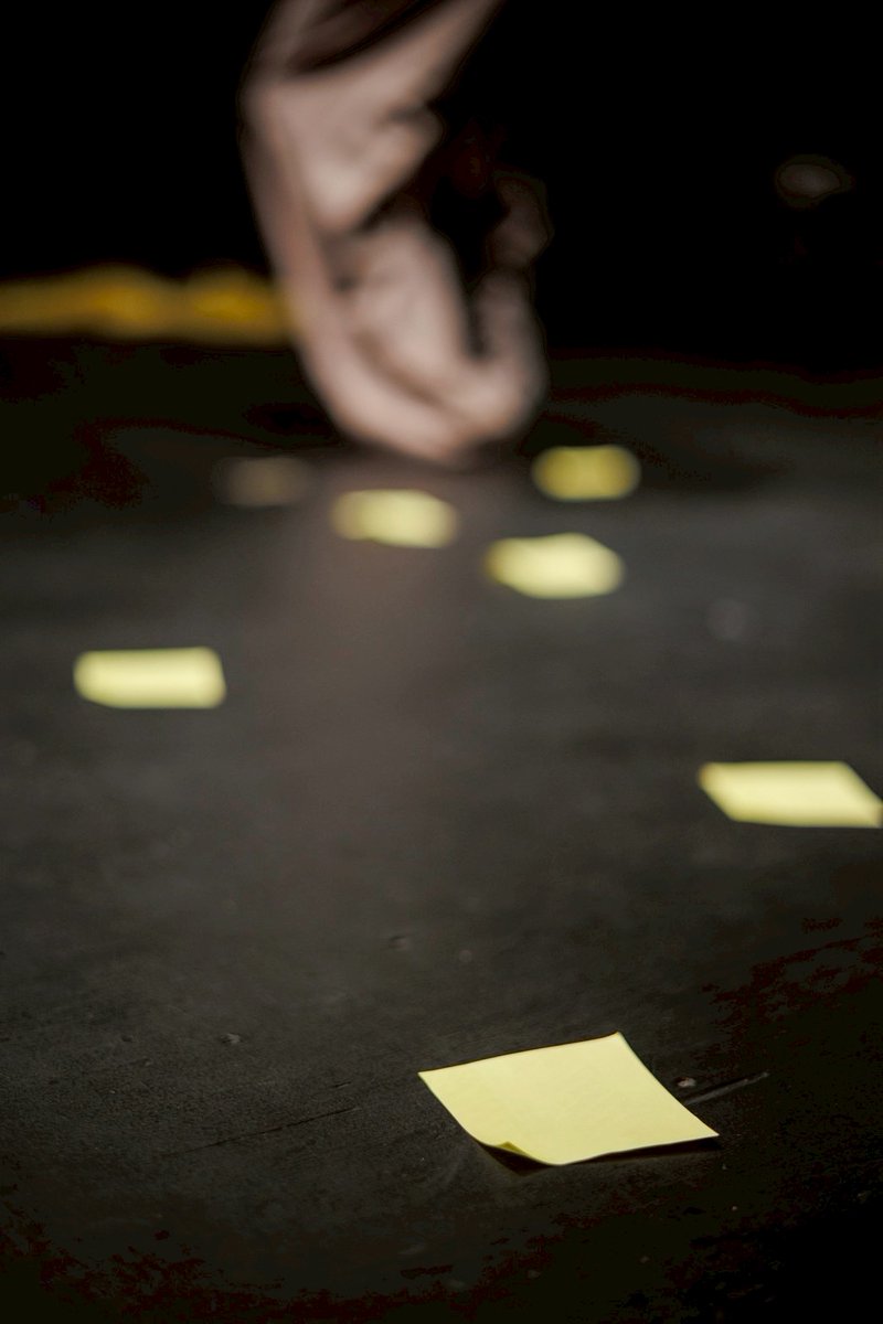 🌪終演のご挨拶🌪
ユニットににふに 第1回公演
『微睡みが黄色くなる前に』

3日間・全6ステージ、無事に幕を下ろすことができました。
ご来場・ご声援くださった皆さまに、心より御礼申し上げます。

これからも、ユニットににふにの活動にご期待ください。