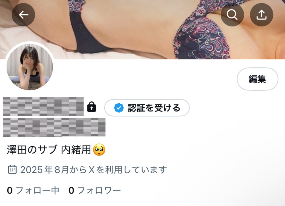 鍵垢作りました。

こちらでスペースやろうと思います。
また会社も続けつつ小さく活動を続ける場合はこちらで投稿を１１月以降はしていこうと思います。

垢バレの防止含め、
皆さんと大切な空間にしたいです。
思いやりのある方のみ参加してください🥺

それでも入ってくれる方のみ