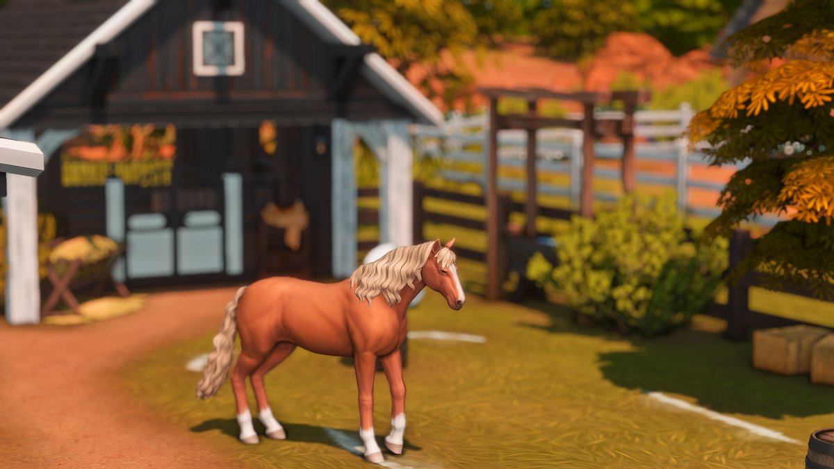 converted barn 🌾🐎

i built a charming red barn turned into a warm family home. i hope you like it!! 🍂

~ watch here: youtu.be/ZACowM8SB4o
~ gallery ID: ludicsimhector

#TheSims4 #ShowUsYourBuilds