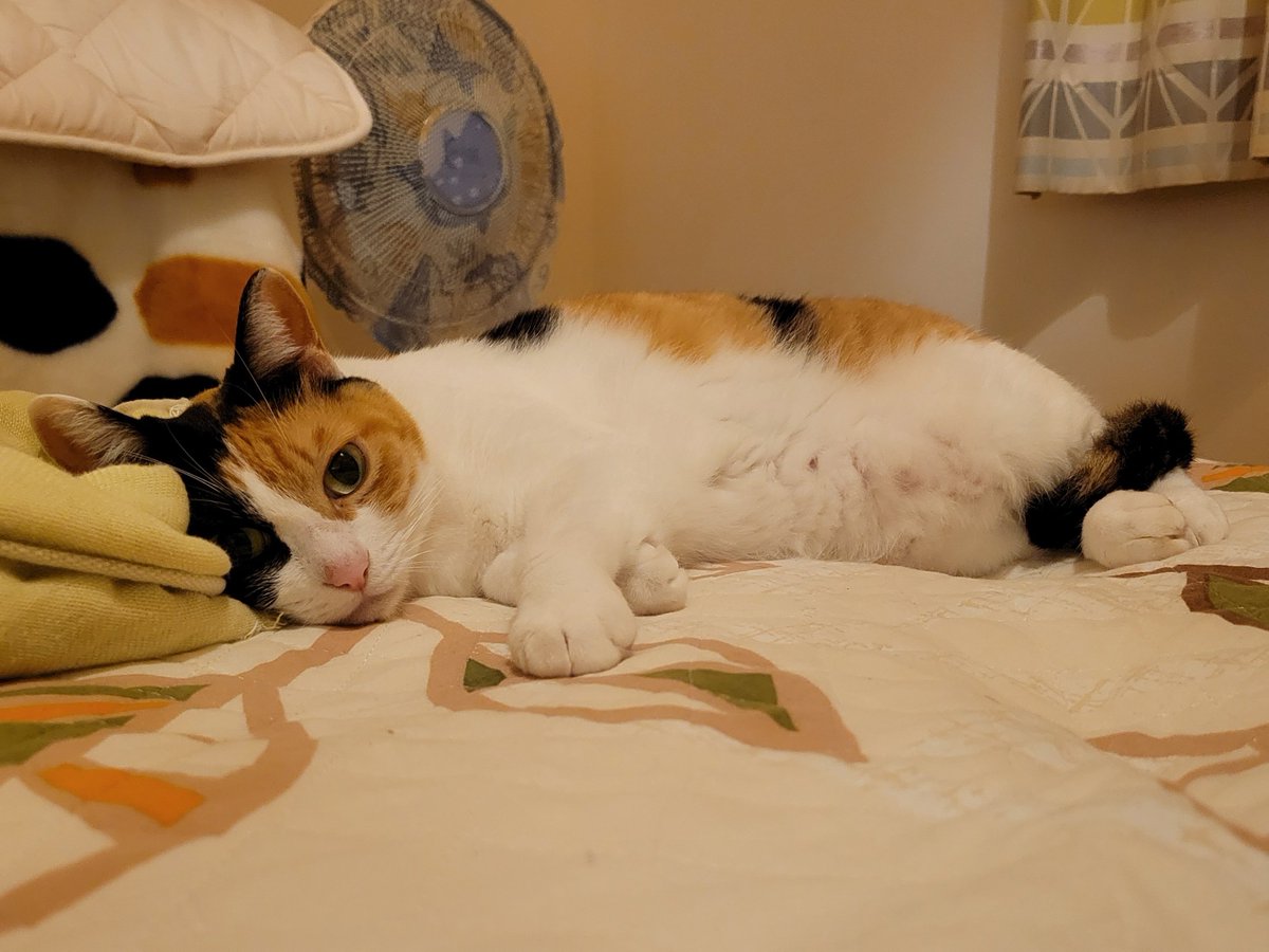 いい夢見てね♪