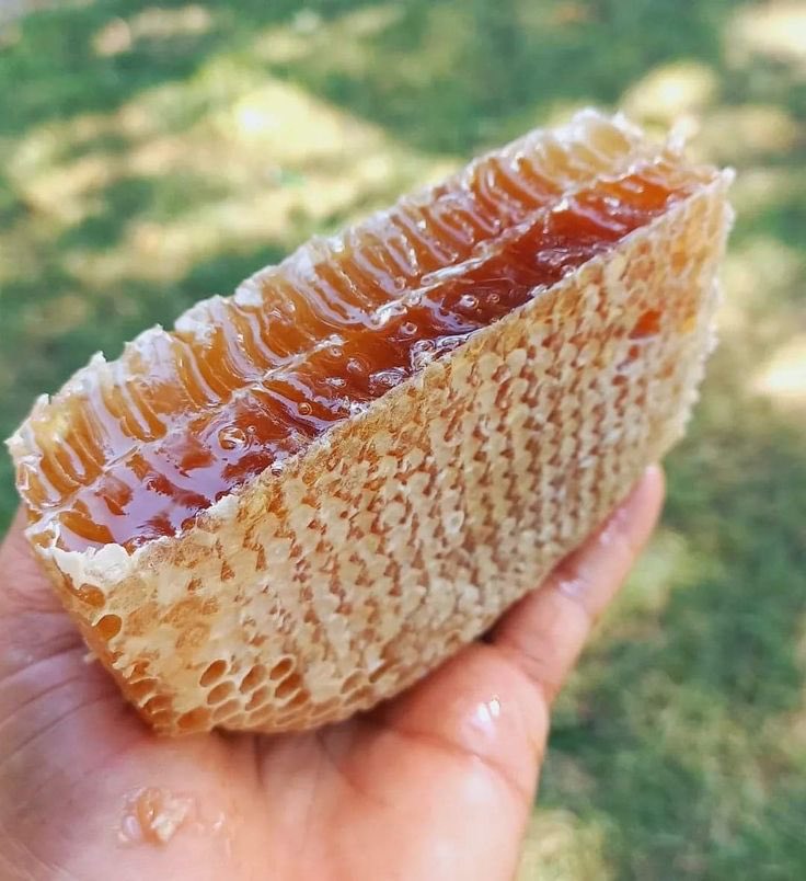 Chef 👩🏻‍🍳 tweet media