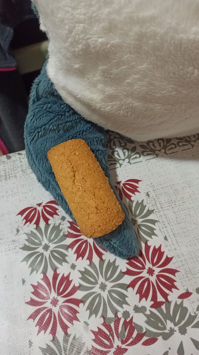 GiraffaV's tweet image. Lasagna, look here!
I stole the package of cookies from the pantry!
Let’s eat them all before the human discover us!

#IKEAのサメ #ikeashark #stuffedtoy #blåhaj #brioches #italy #peluches #stuffedanimals #blahaj #homesweethome #lasagna #cookies #eat #food #biscuits #autumn