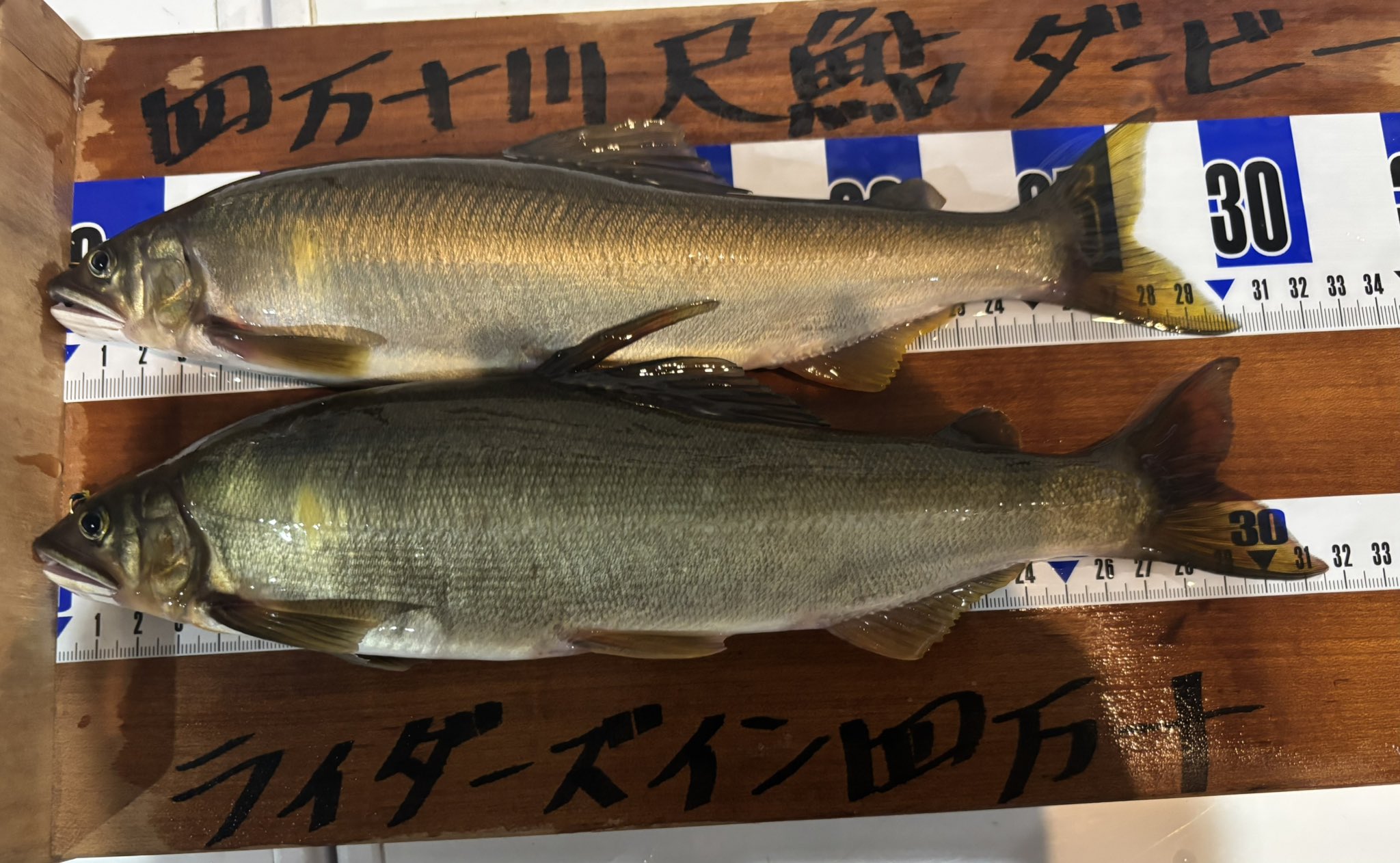 高橋祐次 (@dY9l41UPrjEirKz) / X