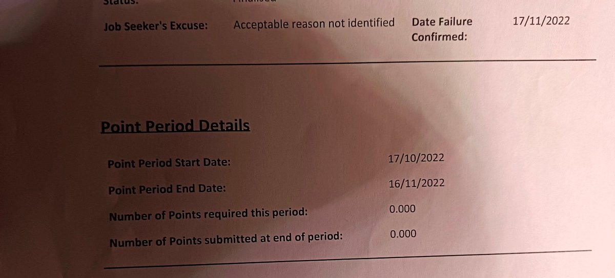 theRustler tweet media