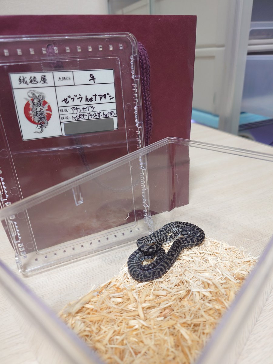 山と海 tweet media