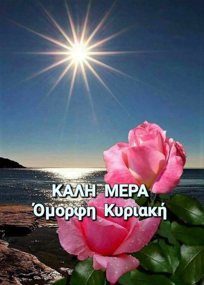 <a href="/LitsaKoute/">Λιτσα κουτε</a> Όμορφη συνέχεια εύχομαι Λίτσα μου με πολύ αγάπη 🌺🌹❤️❤️