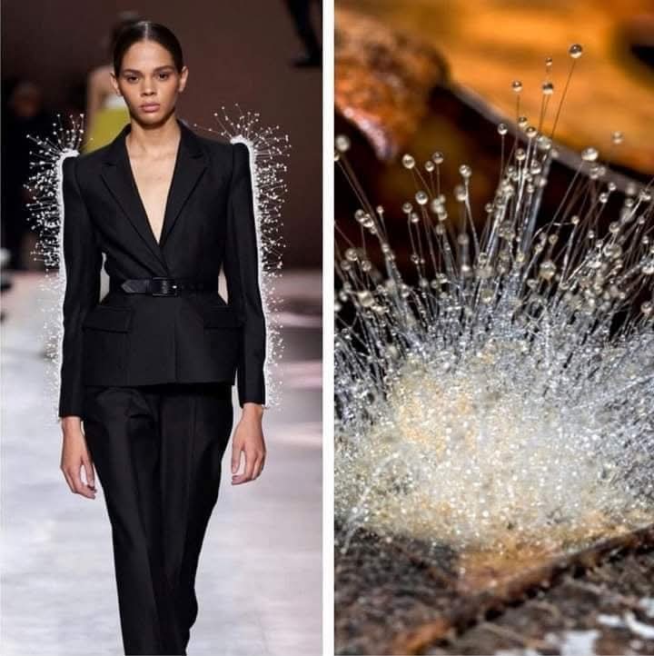 (Cianci Ulises) (@cianciulises) on Twitter photo 