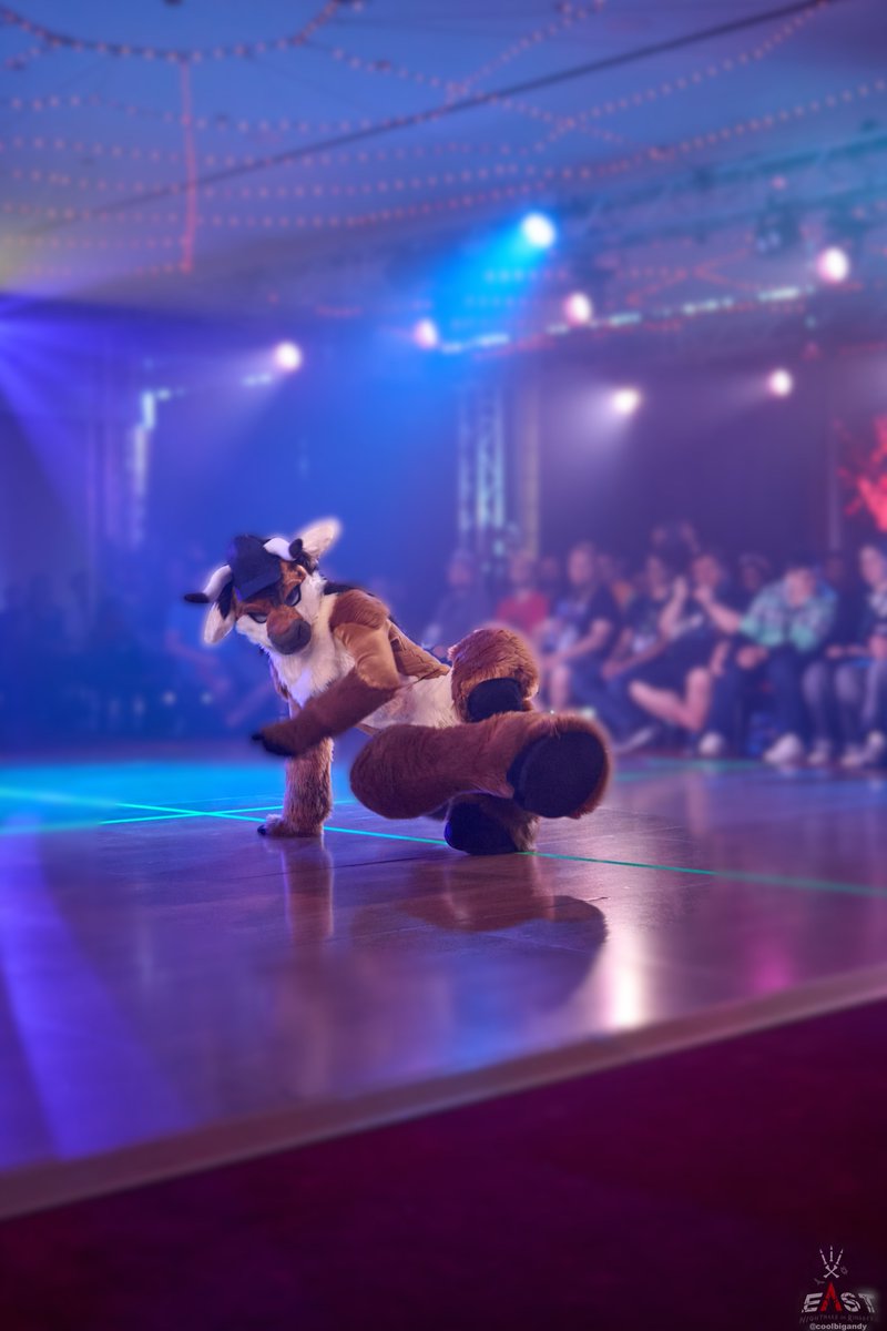 A dream comes true, breakedancing in a fullsuit 💪

These wonderful pictures were taken by <a href="/coolbigandy/">AndyMan! / Jiroooooo 📯</a> , thank you very much 😍 
- please check out his awesome work yourself

#dancing_bull #breakedance #dance_competition #EastXIII #Torros #fursuit