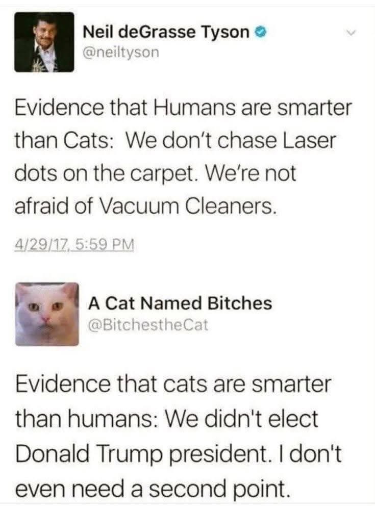 Der Punkt geht definitiv an die Katze! 👍