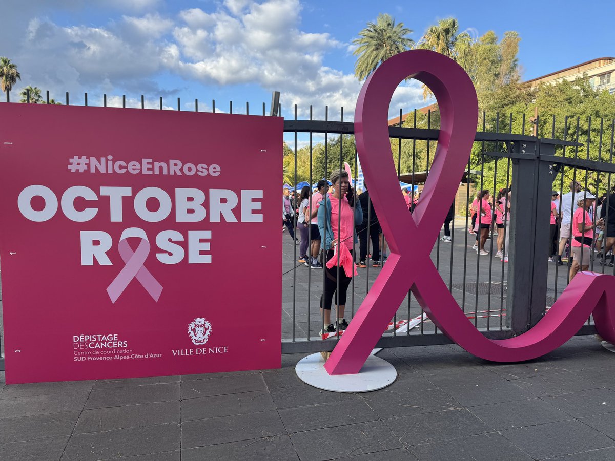 PMdeNice tweet media