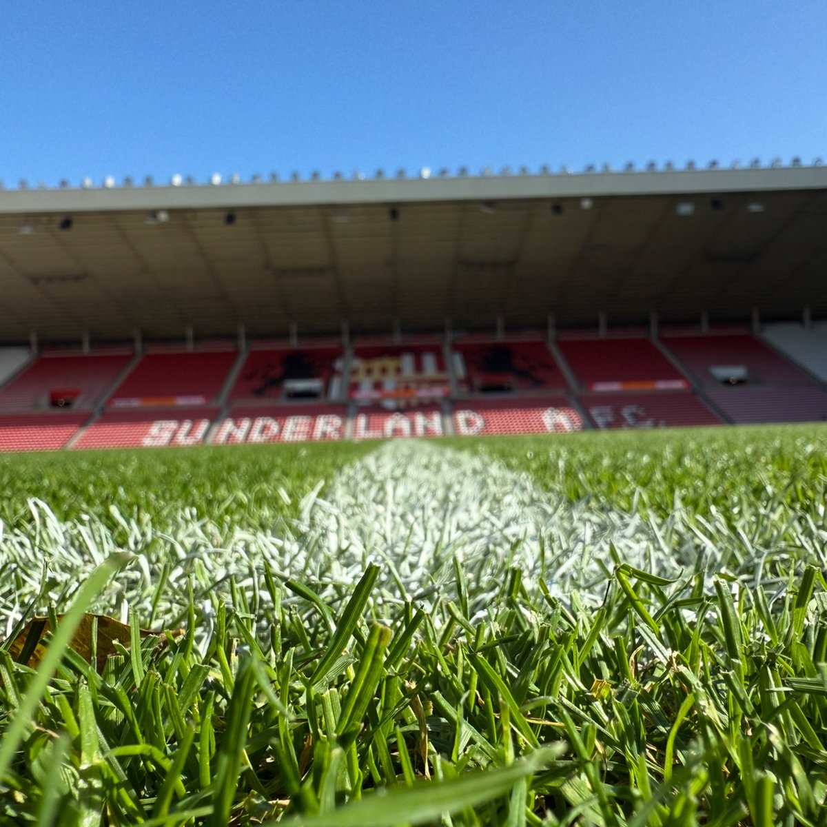 SAFCWomen's tweet photo. It’s good to be back! 🤩
#SUNCHA https://t.co/1D6Am1JBtp