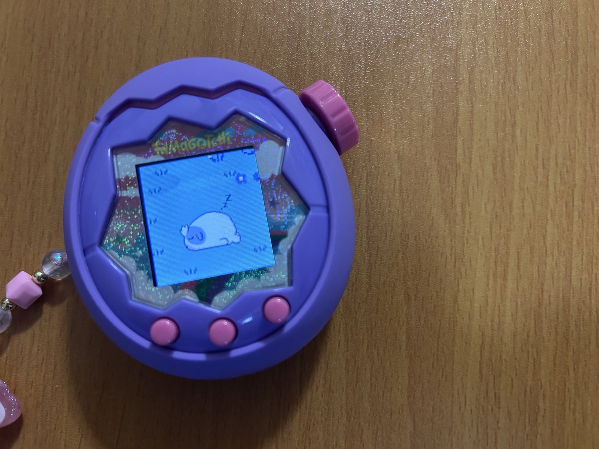____cmcm_'s tweet photo. もるもっち
ポチっち(もるもっちの遺伝子)

かわ。
寝方はもるもっちがすき。 https://t.co/hUojQMlg6o