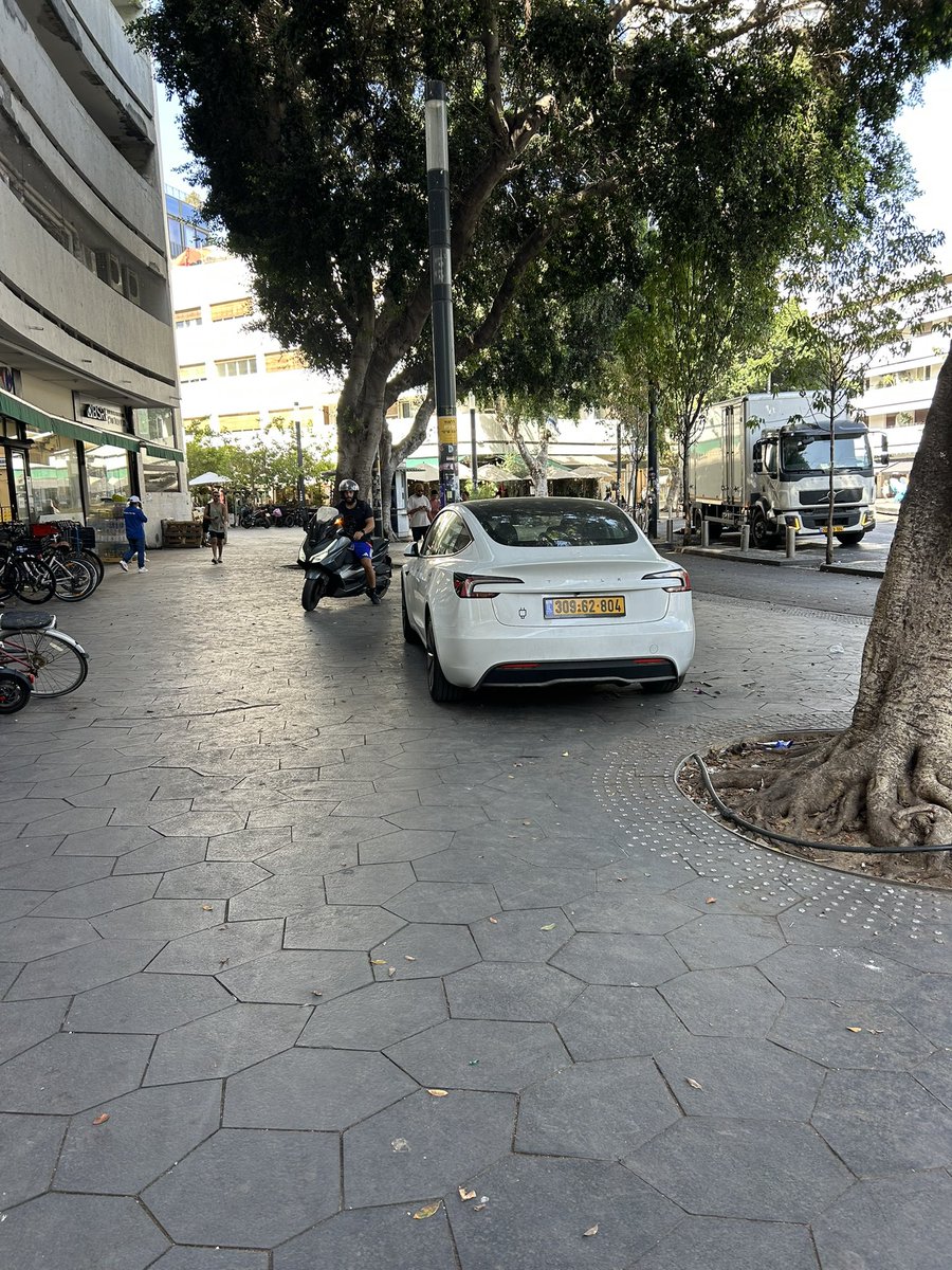 Eylon Levy tweet media