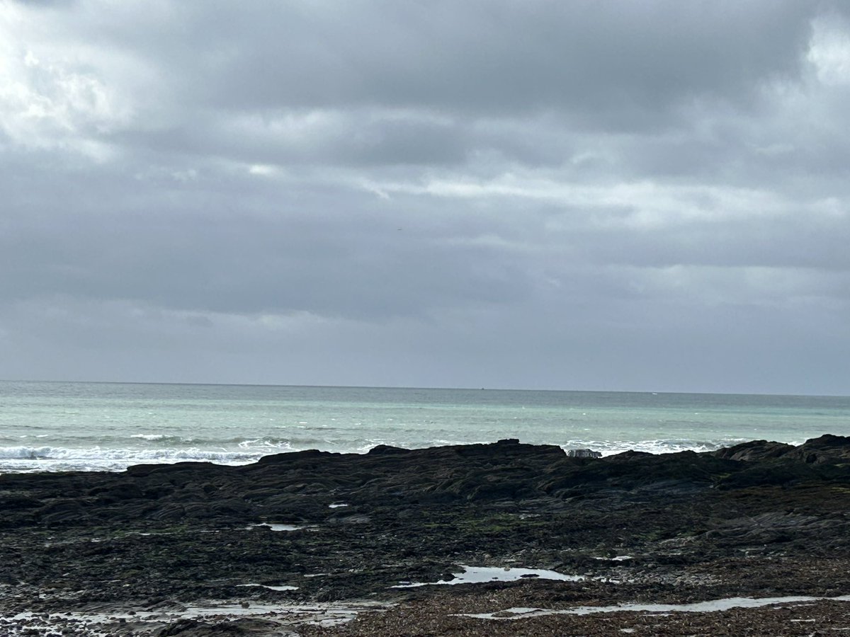 DeasyPamela's tweet photo. #Day276 of #300daysofwalking 

#Sunday and great to be back in West Cork, and having a walk at #Garretstownbeach 🚶‍♀️🌊

#October2025 #WestCork https://t.co/nHybfsm9AF