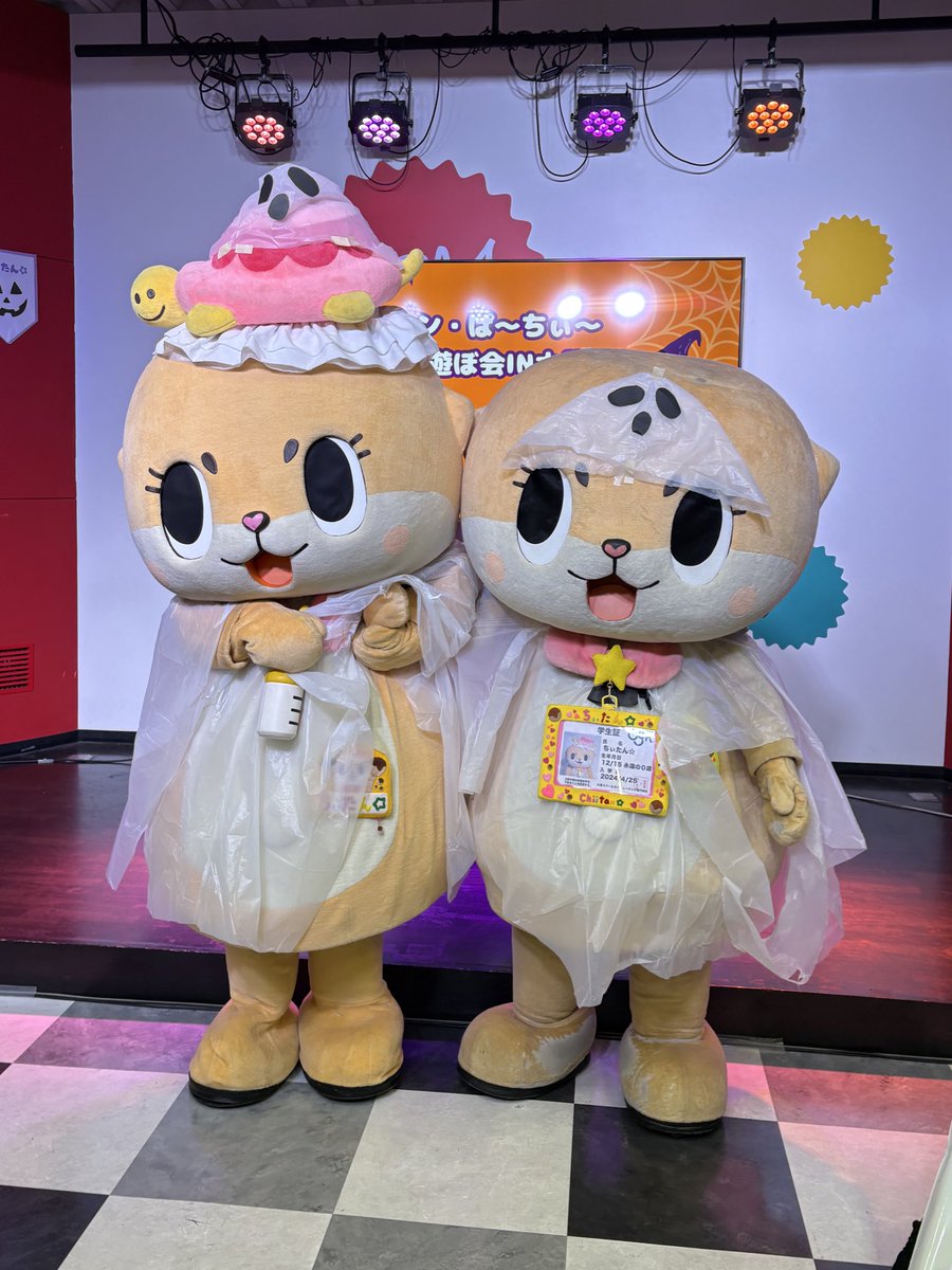 ちぃたん様の専用ページ 公式：ちぃたん☆大阪 (@Chiitan_Osaka) / X