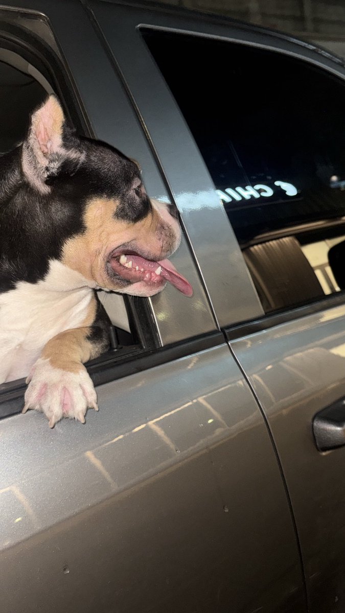 🇨🇴 tweet media