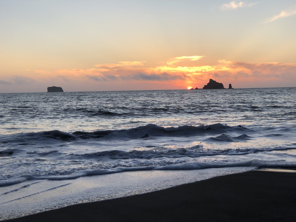 A sunny Sunday to you friends! Wishing you a fabulous fun day filled with life, love, and laughter ;)