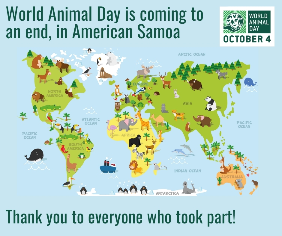✨🐾 World Animal Day has come to a close for another year!

A huge THANK YOU to everyone who joined in. Every act of kindness helps raise the status of animals worldwide. 💚

…Until next year! 🌍💫