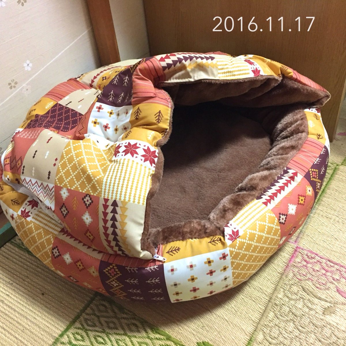 mina_mya's tweet photo. フーちゃお気に入りのベッドはコタの闘病のために買いましたが、間に合わなかった物。
#cat #猫 #ねこ #ぬこ #三毛猫 #コタミケフー #ミケコ #Mikeko #ミケたん #永遠の16歳 #童顔猫 #風胡 #Fuko #フーちゃ #小顔詐欺 #肝疾患猫 #catstagram #にゃんすたぐらむ
https://t.co/DmaUqcJoiH https://t.co/B5yibz4NP2