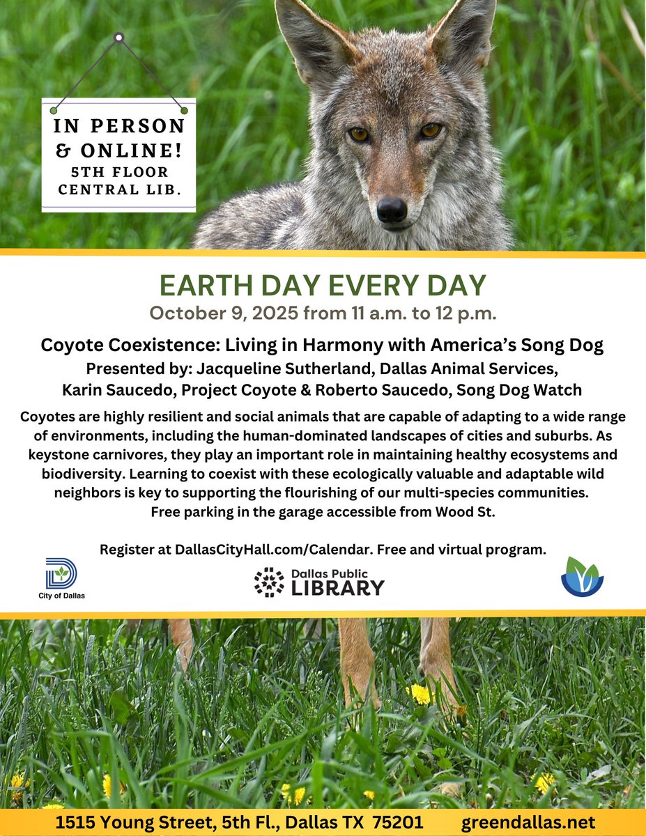 Green Dallas tweet media