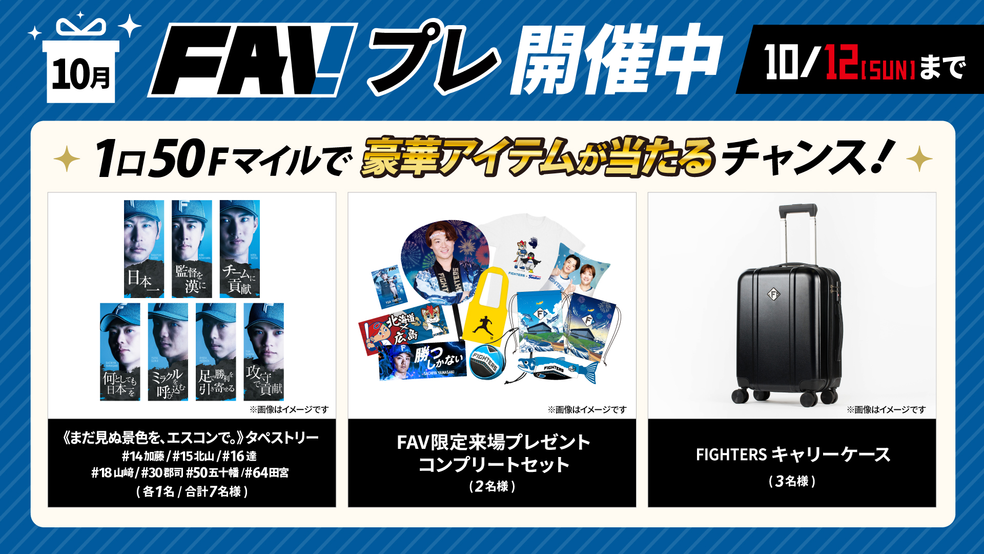 【新品・未使用】日本ハムファイターズ キャリーケース FAV限定商品　機内持込可 Amazon.co.jp: 北海道日本ハムファイターズファンクラブFAV