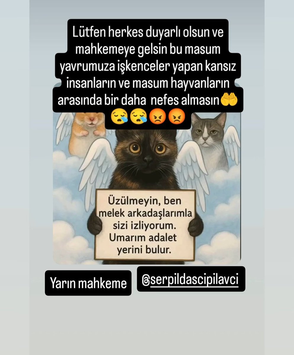 eyirkusss's tweet photo. #cezvei̇çinadalet https://t.co/hs9Cc2wKed
