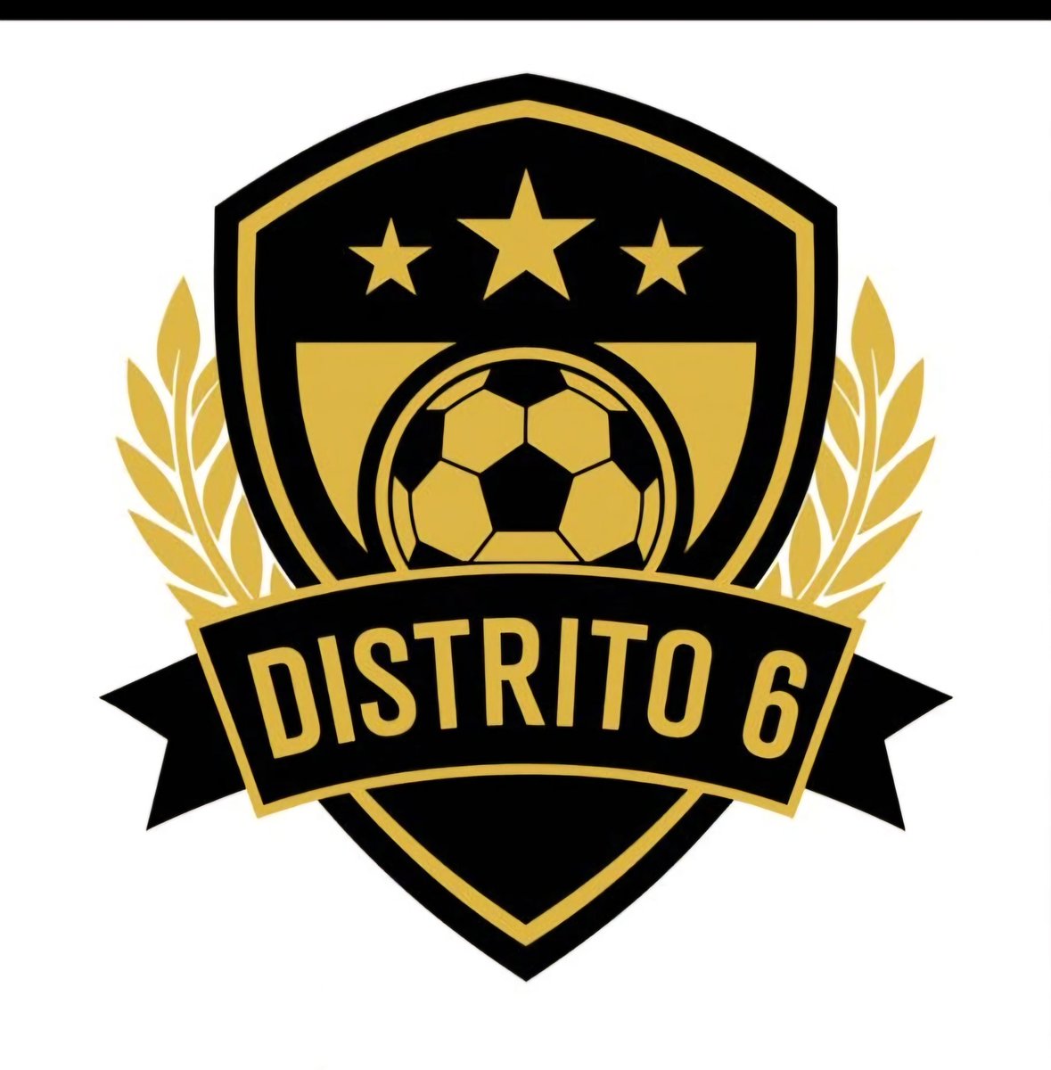 Otro equipo nuevo  DISTRITO 6 FS que estará en la AMFS en Liga SENIOR 25-26.  Bienvenidos y suerte