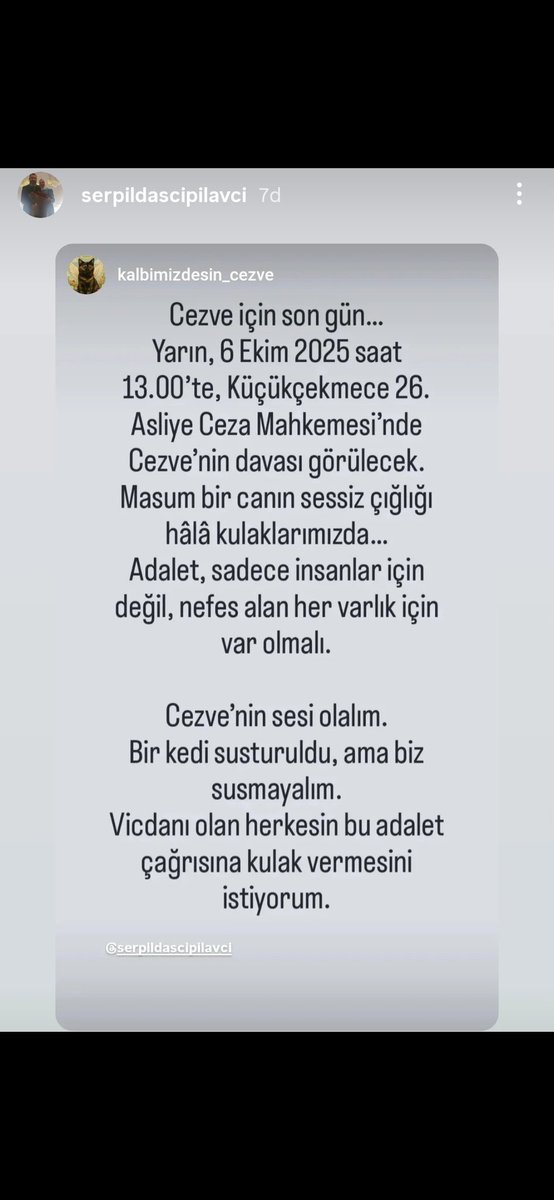eyirkusss's tweet photo. Gidebilen herkes lütfen orda olsun lütfen Serpil hanımı ve cezveyi yanliz birakmamaliyiz lütfen https://t.co/Li3CYFrsuV